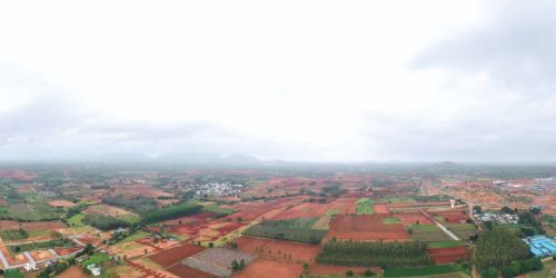 nexfield-brochure-design-to-share-01